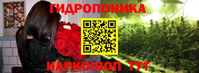 мескалин Славгород
